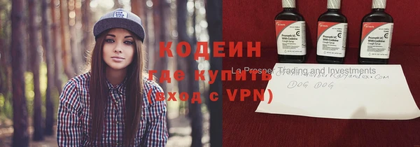 ГАЛЛЮЦИНОГЕННЫЕ ГРИБЫ Арсеньев