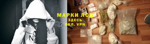 ГАЛЛЮЦИНОГЕННЫЕ ГРИБЫ Арсеньев