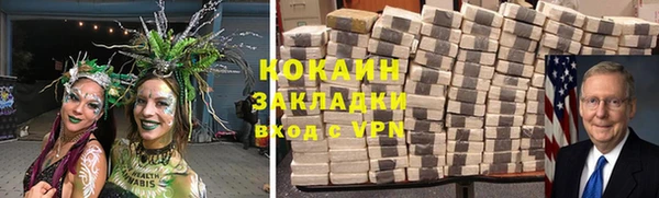 ГАЛЛЮЦИНОГЕННЫЕ ГРИБЫ Арсеньев