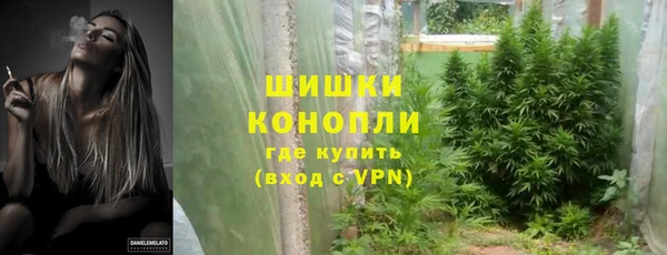 ГАЛЛЮЦИНОГЕННЫЕ ГРИБЫ Арсеньев